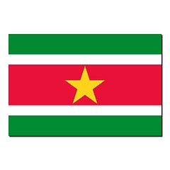 Image showing The national flag of Suriname