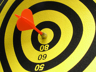 Image showing A Direct Hit bulls eye!