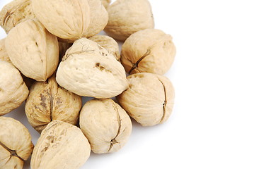 Image showing Walnuts on white