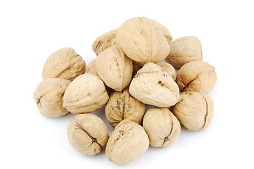 Image showing Pile of walnuts on white