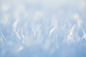 Image showing Ice crystals