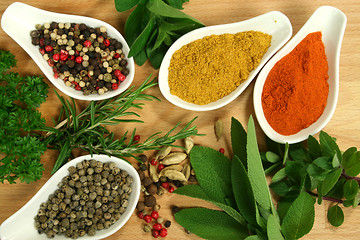 Image showing Herbs and spices