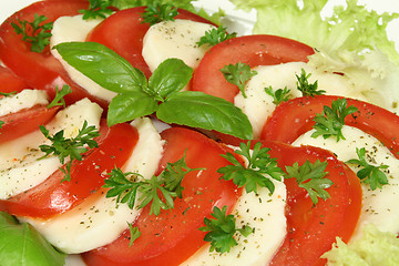 Image showing Caprese salad