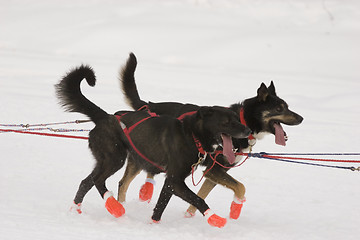 Image showing Red boots