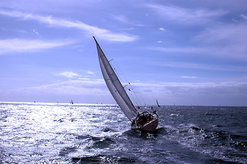 Image showing regatta