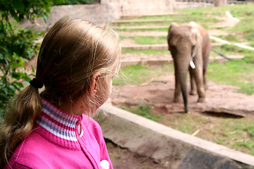 Image showing In the zoo