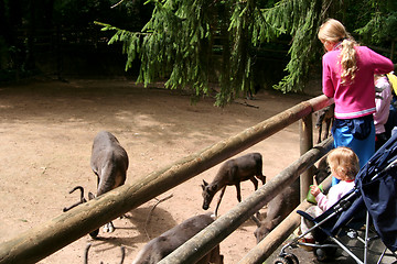 Image showing In the zoo