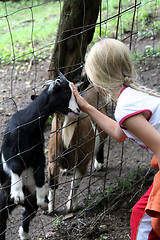 Image showing In the zoo