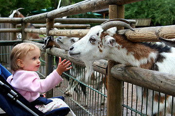 Image showing In the zoo