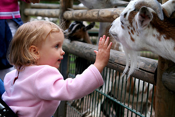 Image showing In the zoo