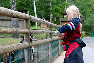 Image showing In the zoo