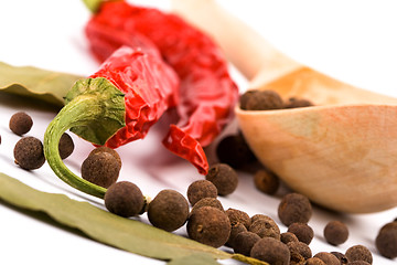 Image showing spices