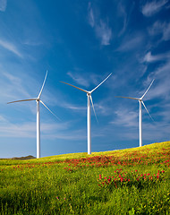 Image showing Wind Turbines