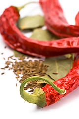 Image showing pimento, caraway and bay leaves