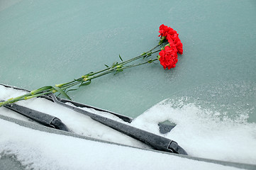 Image showing Bunch of Carnations On Car Windshield