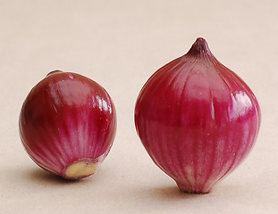 Image showing Onions.
