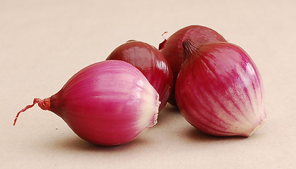 Image showing Small onions.