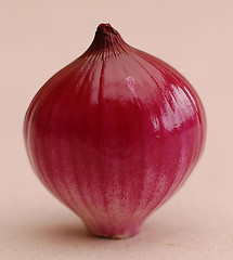 Image showing Onion.