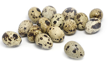 Image showing Quail eggs close-up