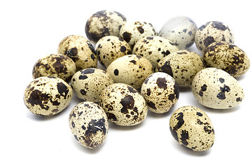 Image showing Quail eggs close-up