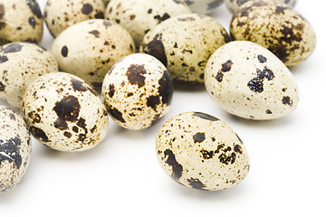 Image showing Quail eggs close-up