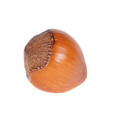 Image showing hazelnut