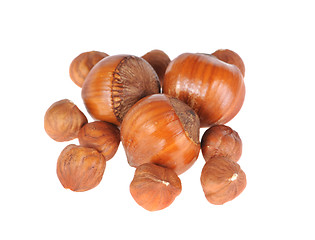 Image showing hazelnuts