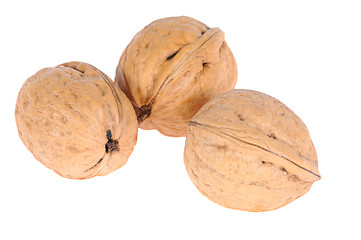 Image showing walnuts