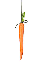 Image showing Carrot