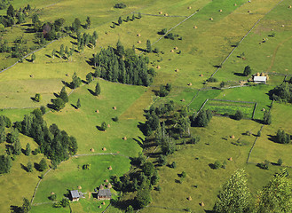 Image showing Rural pattern