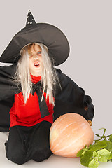 Image showing Young witch