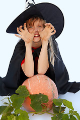 Image showing Young witch