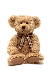 Image showing Teddy Bear