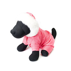 Image showing Dogs clothing