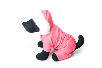 Image showing Dogs clothing