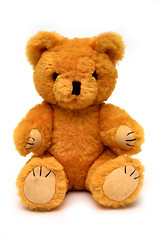 Image showing Teddy Bear