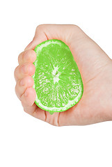 Image showing green lime 