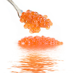 Image showing red caviar 