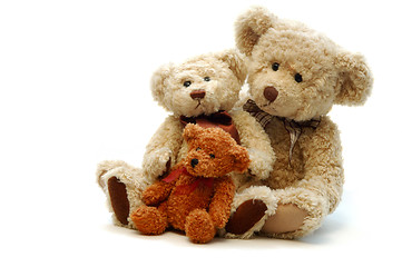 Image showing Teddy Bears