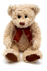 Image showing Teddy Bear