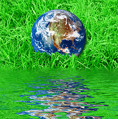 Image showing Earth at the green grass