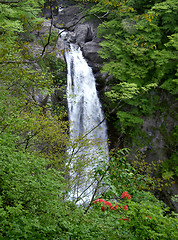 Image showing Waterfall In Forest