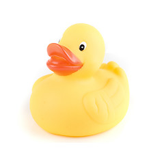 Image showing yellow duck