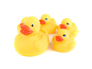 Image showing yellow ducks