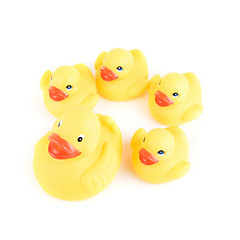 Image showing yellow ducks
