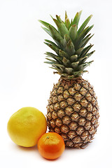 Image showing Pineapple, grapefruit and mandarin