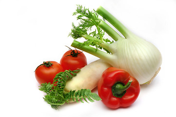 Image showing Fennel, radish, red paprika and tomatoes