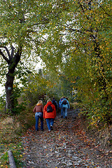 Image showing Autumnal walk