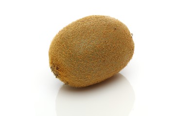 Image showing Kiwi