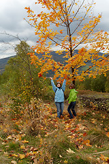 Image showing Autumn